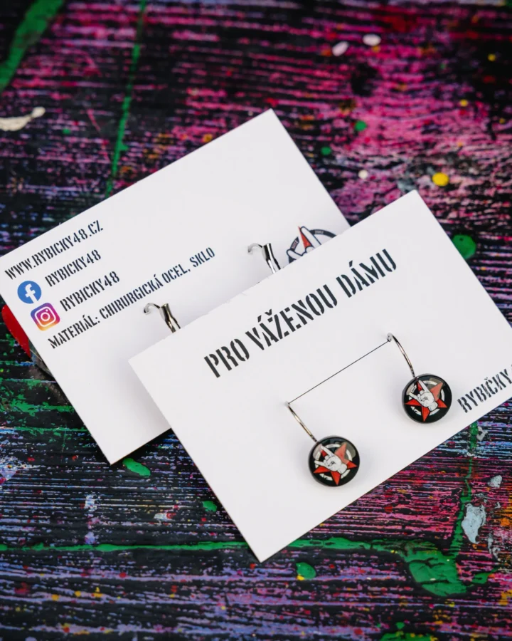 Náušnice R48 LOGO visací